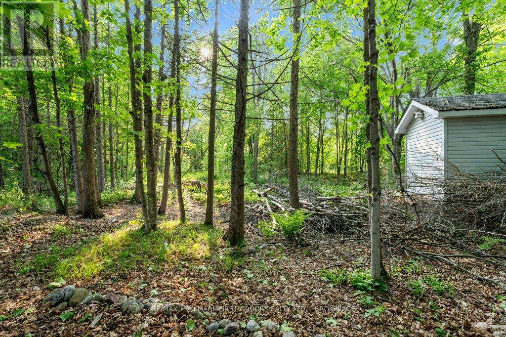 6187 Revell Road, Frontenac, Ontario  K0H 2W0 - Photo 43 - X12202251