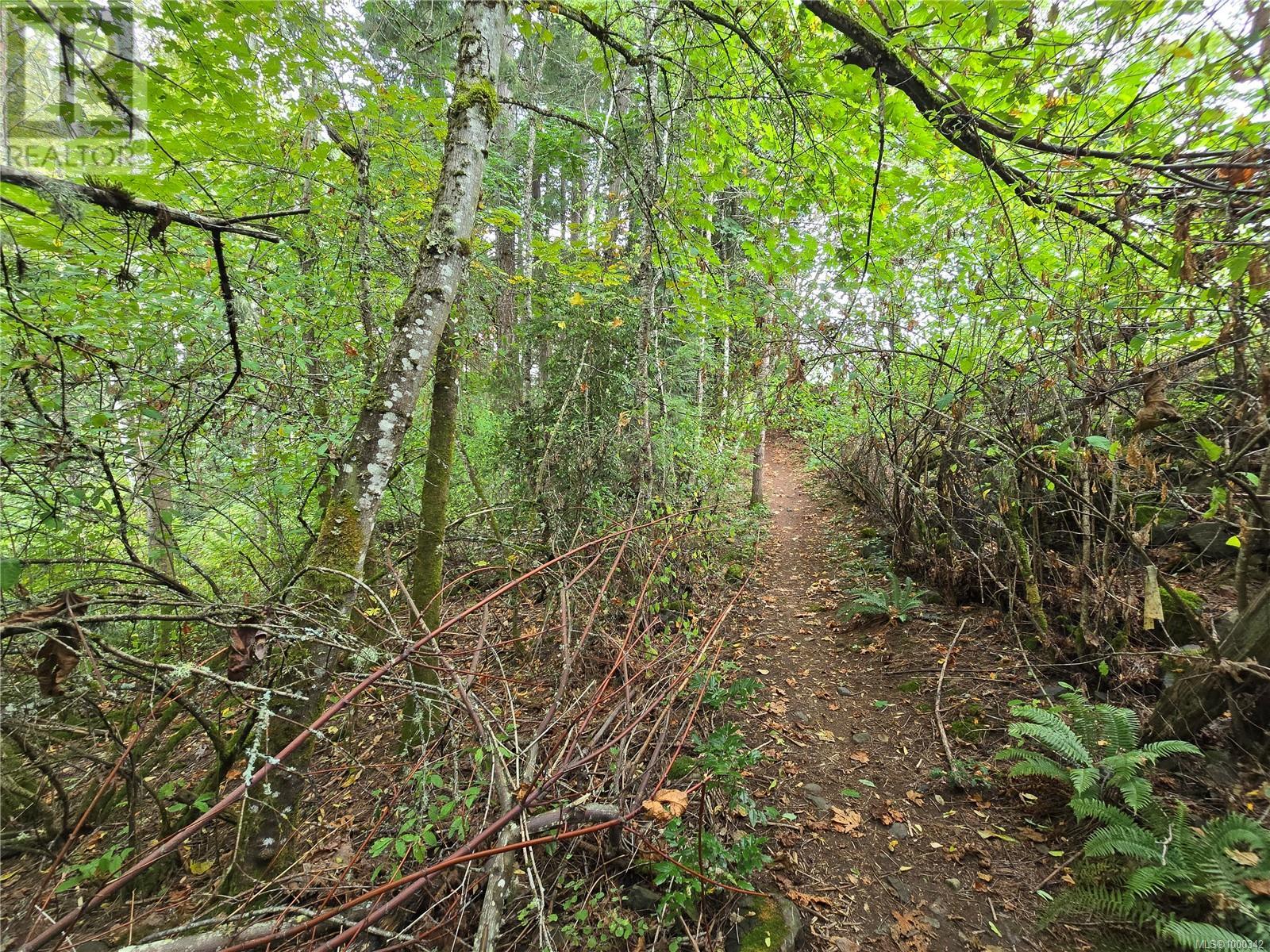 Lot A St. Ann's Dr, Duncan, British Columbia  V9L 5M4 - Photo 10 - 1000342