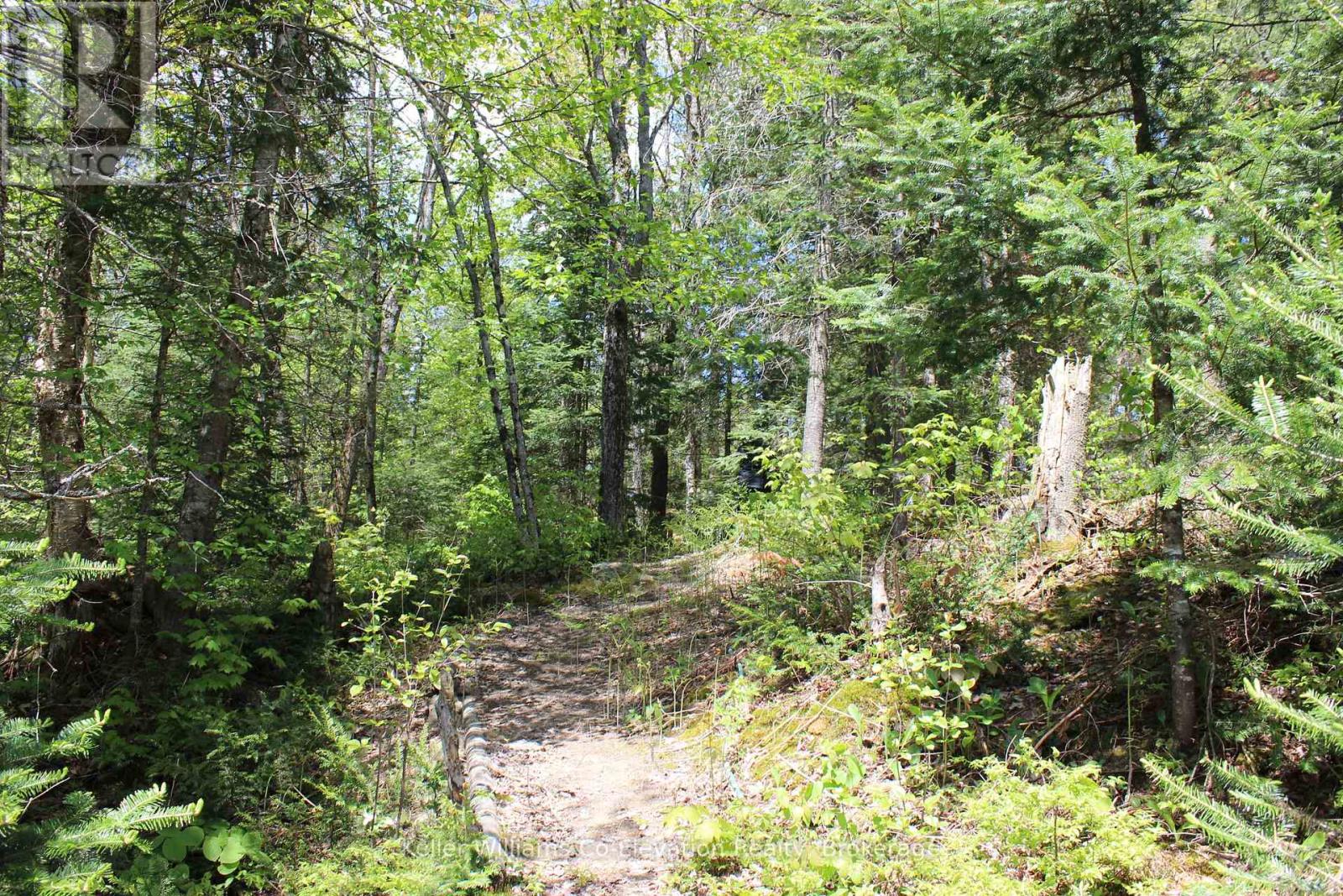 4313 Highway 518 W, Mcmurrich/monteith, Ontario  P0A 1C0 - Photo 27 - X12204657