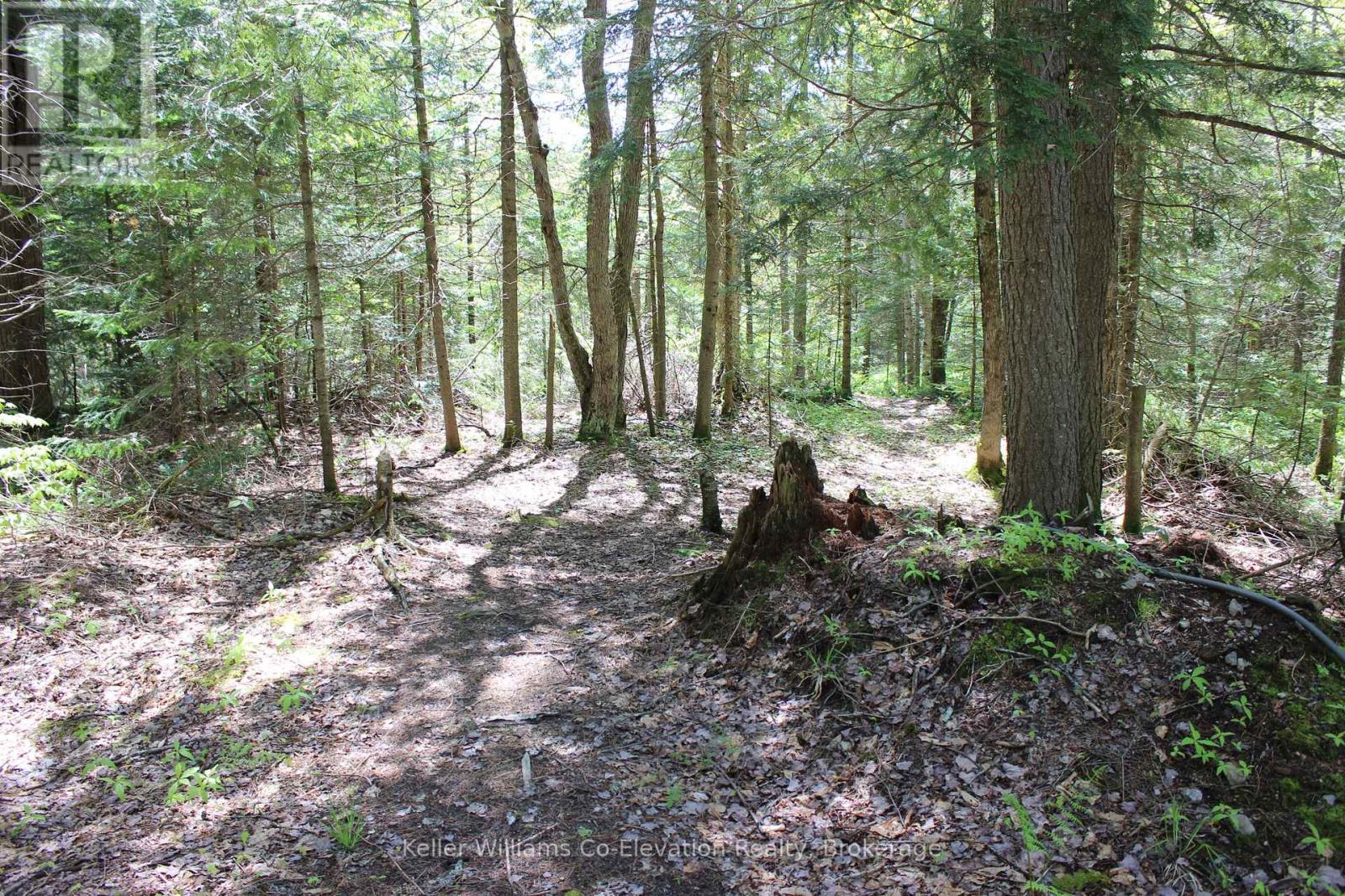 4313 Highway 518 W, Mcmurrich/monteith, Ontario  P0A 1C0 - Photo 21 - X12204657