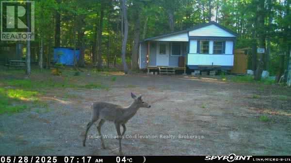 4313 Highway 518 W, Mcmurrich/monteith, Ontario  P0A 1C0 - Photo 34 - X12204657