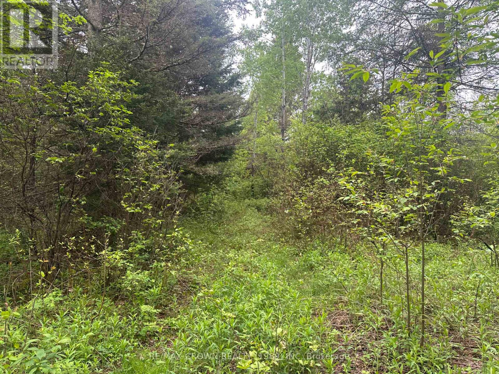 Lot 29 Con 2 Part 1 Grand Desert Road, Bonfield, Ontario  P0H 2E0 - Photo 10 - X12185614