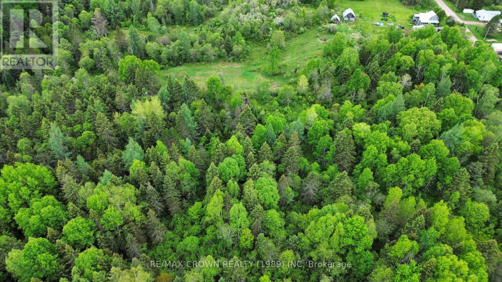 Lot 29 Con 2 Part 1 Grand Desert Road, Bonfield, Ontario  P0H 2E0 - Photo 5 - X12185614