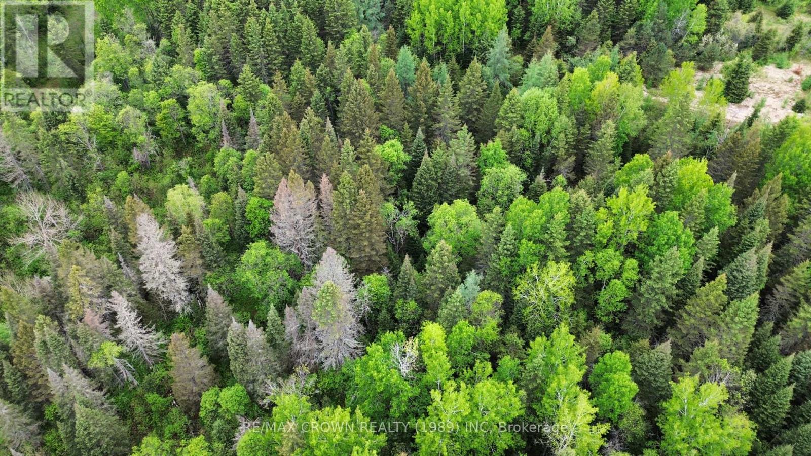 Lot 29 Con 2 Part 1 Grand Desert Road, Bonfield, Ontario  P0H 2E0 - Photo 6 - X12185614