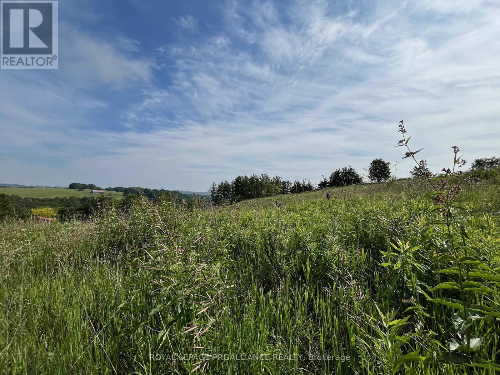 Lot 22 Mccarty Drive, Cobourg, Ontario  K9A 4J9 - Photo 6 - X11961295