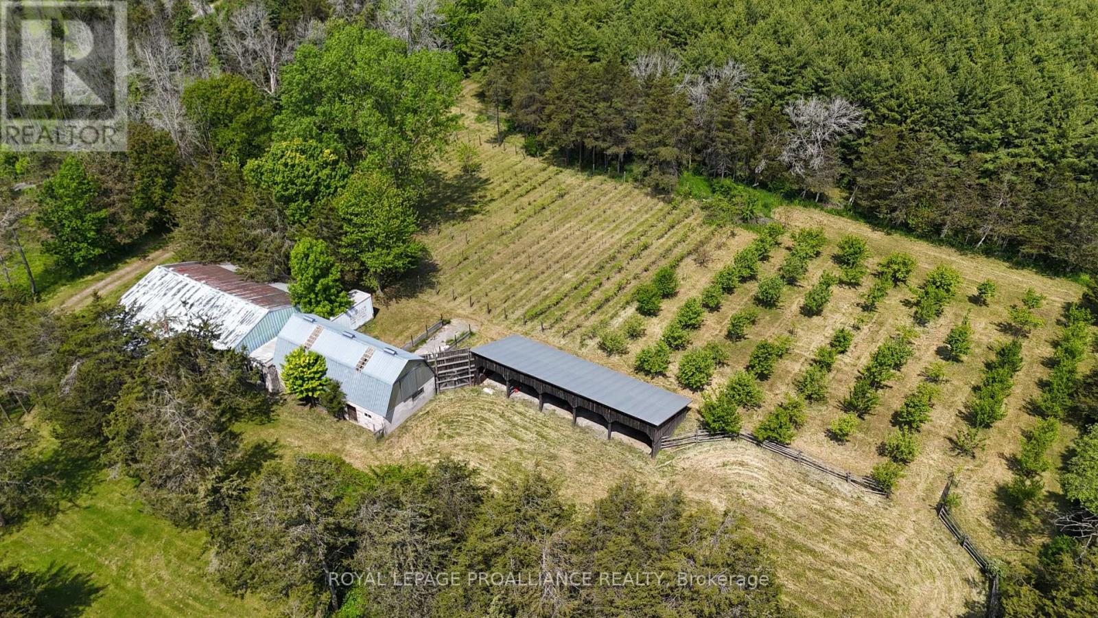 4563 County Road 9, Greater Napanee, Ontario  K7R 3K8 - Photo 36 - X12207460