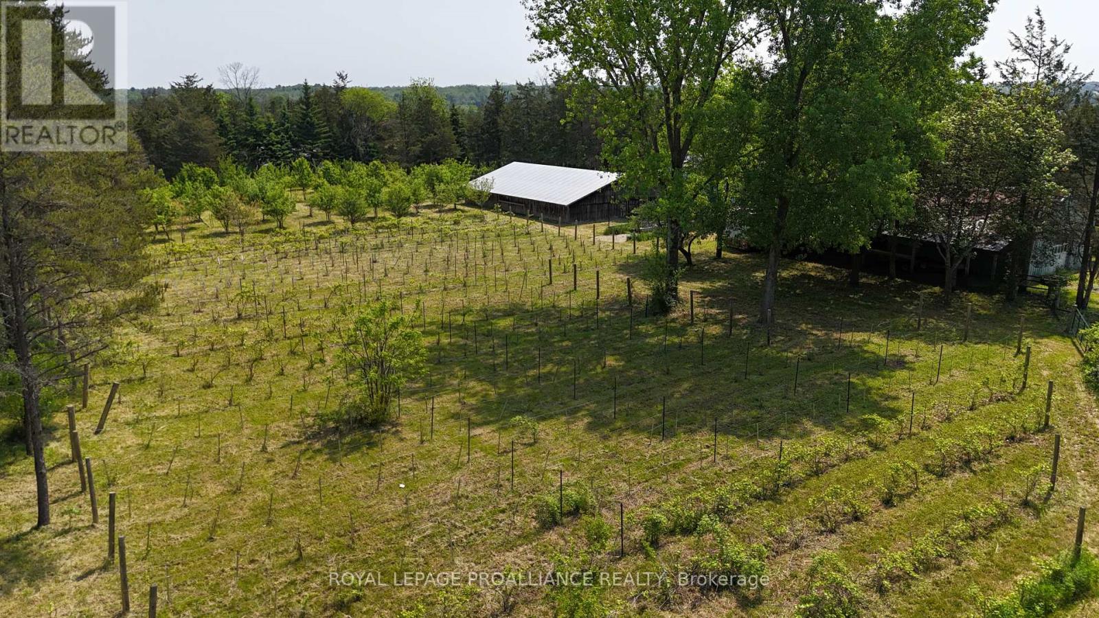 4563 County Road 9, Greater Napanee, Ontario  K7R 3K8 - Photo 37 - X12207460
