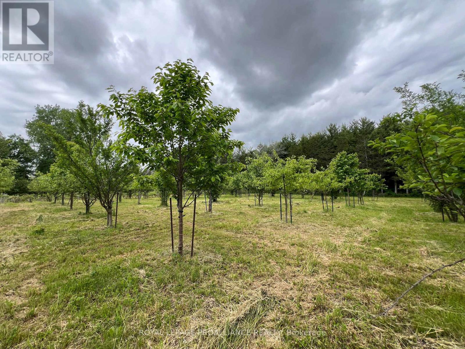 4563 County Road 9, Greater Napanee, Ontario  K7R 3K8 - Photo 38 - X12207460