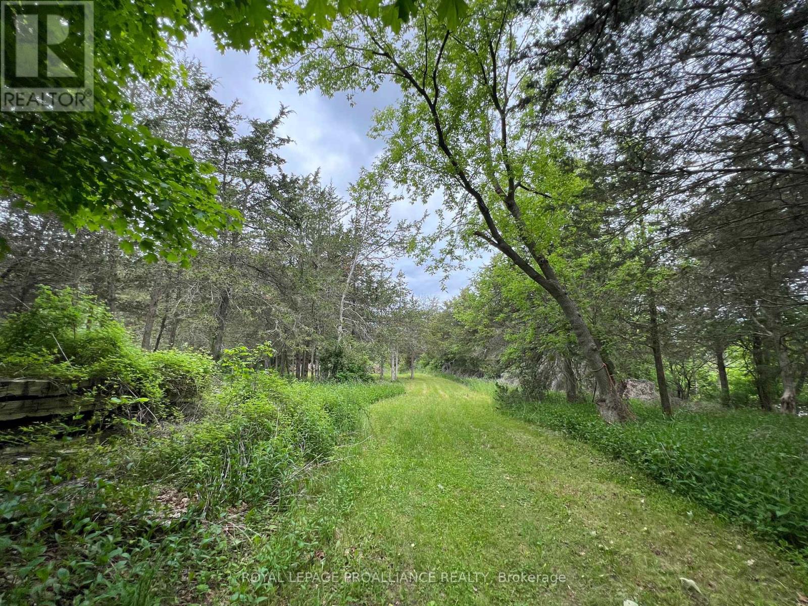 4563 County Road 9, Greater Napanee, Ontario  K7R 3K8 - Photo 47 - X12207460