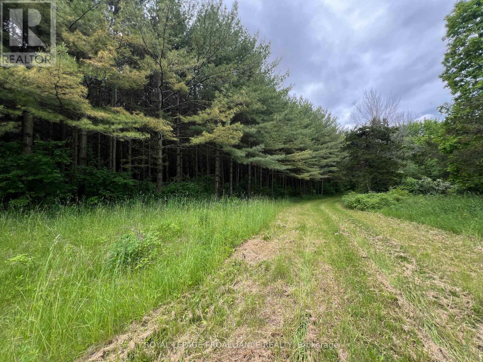 4563 County Road 9, Greater Napanee, Ontario  K7R 3K8 - Photo 48 - X12207460