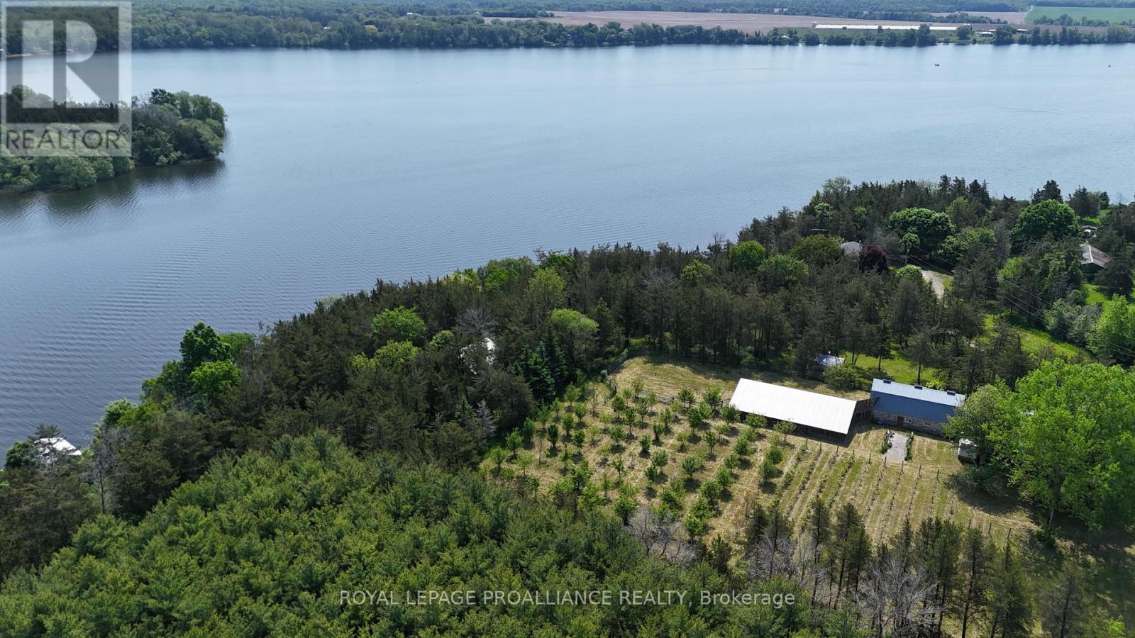 4563 County Road 9, Greater Napanee, Ontario  K7R 3K8 - Photo 6 - X12207460