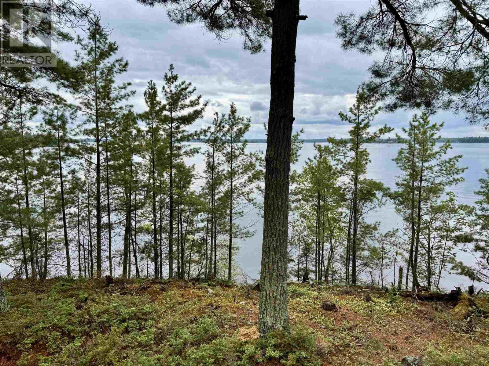 12 & 13 Hay Island, Kenora, Ontario  P9N 3W8 - Photo 38 - TB251565