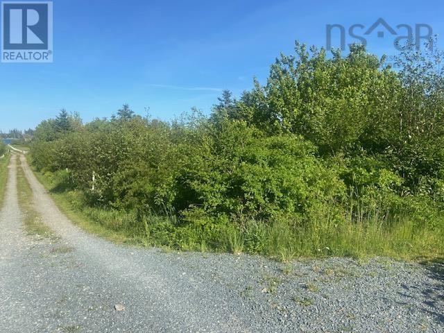 Lot Williams Lane, Lockeport, Nova Scotia  B0T 1W0 - Photo 4 - 202502307