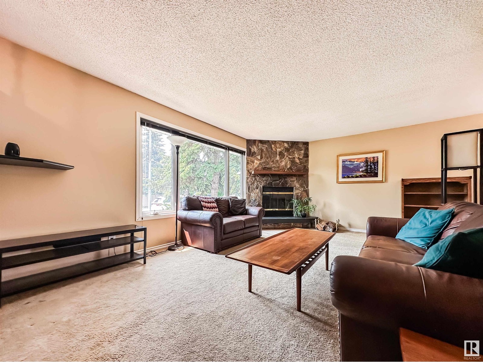 11744 37 Av Nw, Edmonton, Alberta  T6J 0J2 - Photo 6 - E4440366