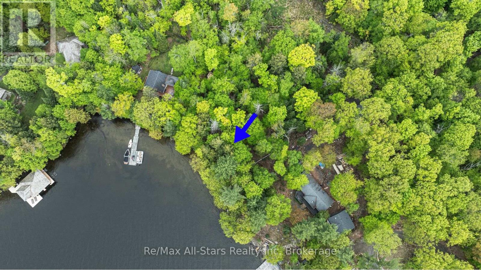 504 Bigwin Island, Lake Of Bays, Ontario  P0A 1H0 - Photo 8 - X12192902