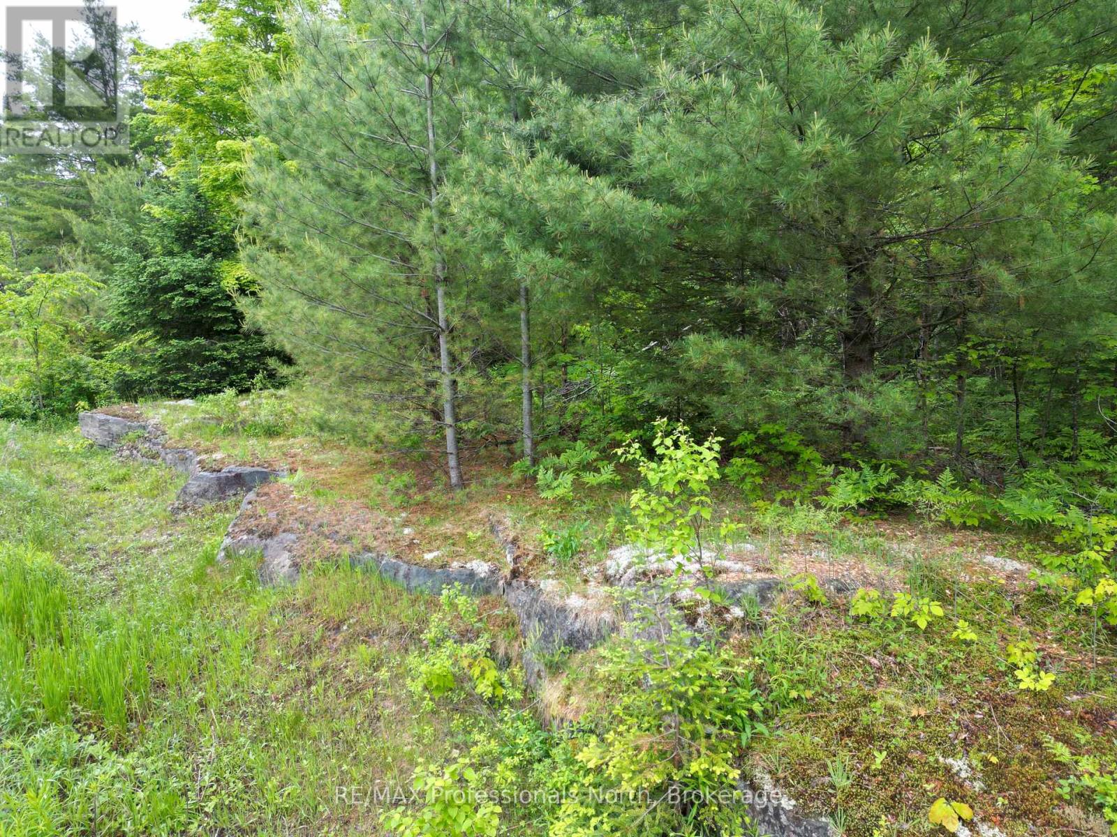Lt 15 Concession A Gelert Road, Minden Hills, Ontario  K0M 2K0 - Photo 10 - X12207528