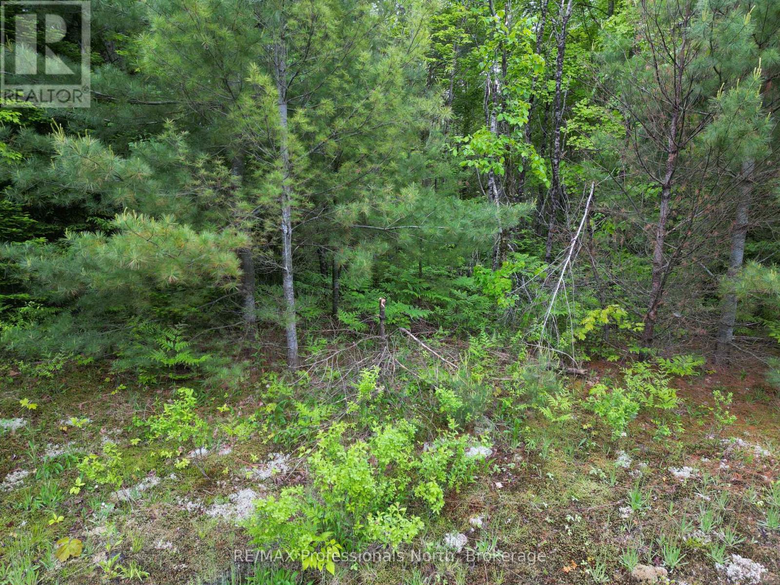 Lt 15 Concession A Gelert Road, Minden Hills, Ontario  K0M 2K0 - Photo 11 - X12207528