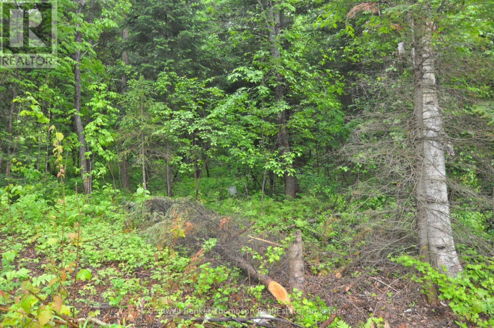 2818 Highway 60 Highway, Lake Of Bays, Ontario  P0A 1H0 - Photo 2 - X12207533