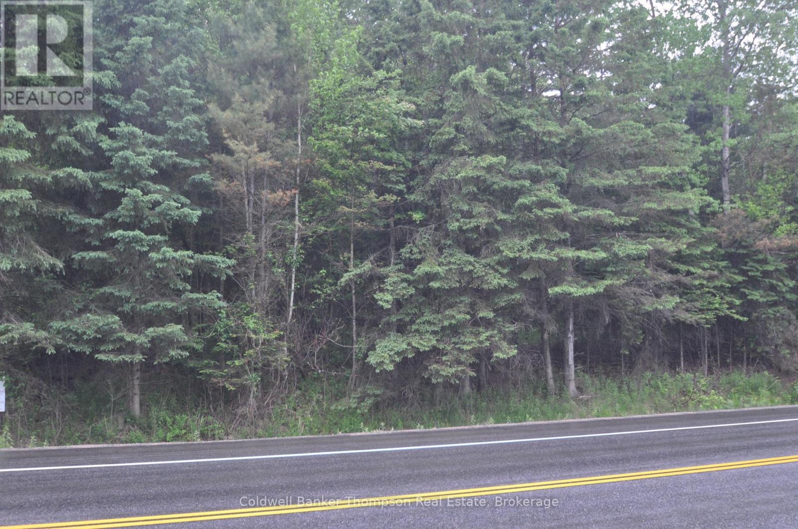 2818 Highway 60 Highway, Lake Of Bays, Ontario  P0A 1H0 - Photo 5 - X12207533