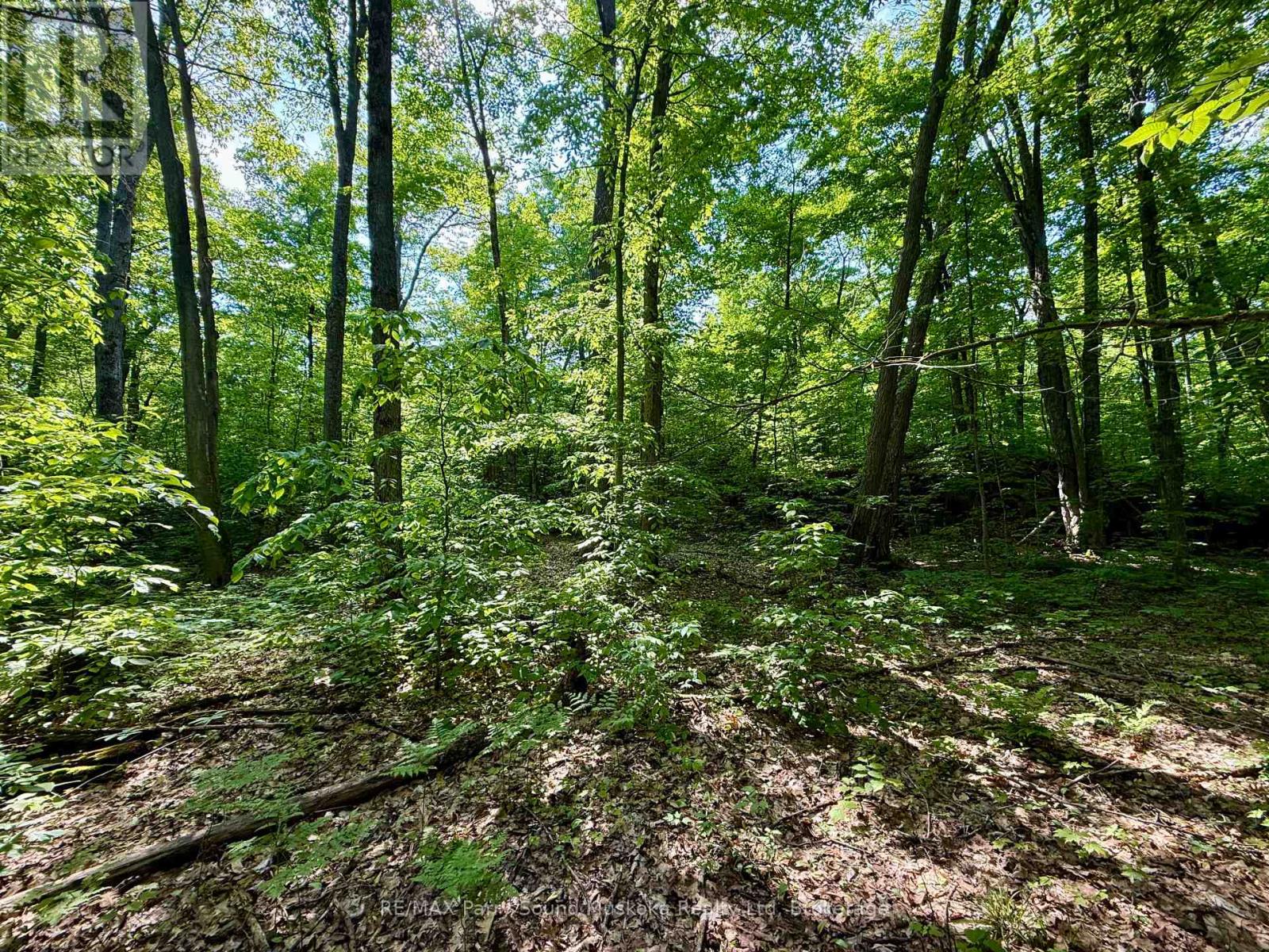 33 Lioness Road, Seguin, Ontario  P2A 2W8 - Photo 16 - X12207543
