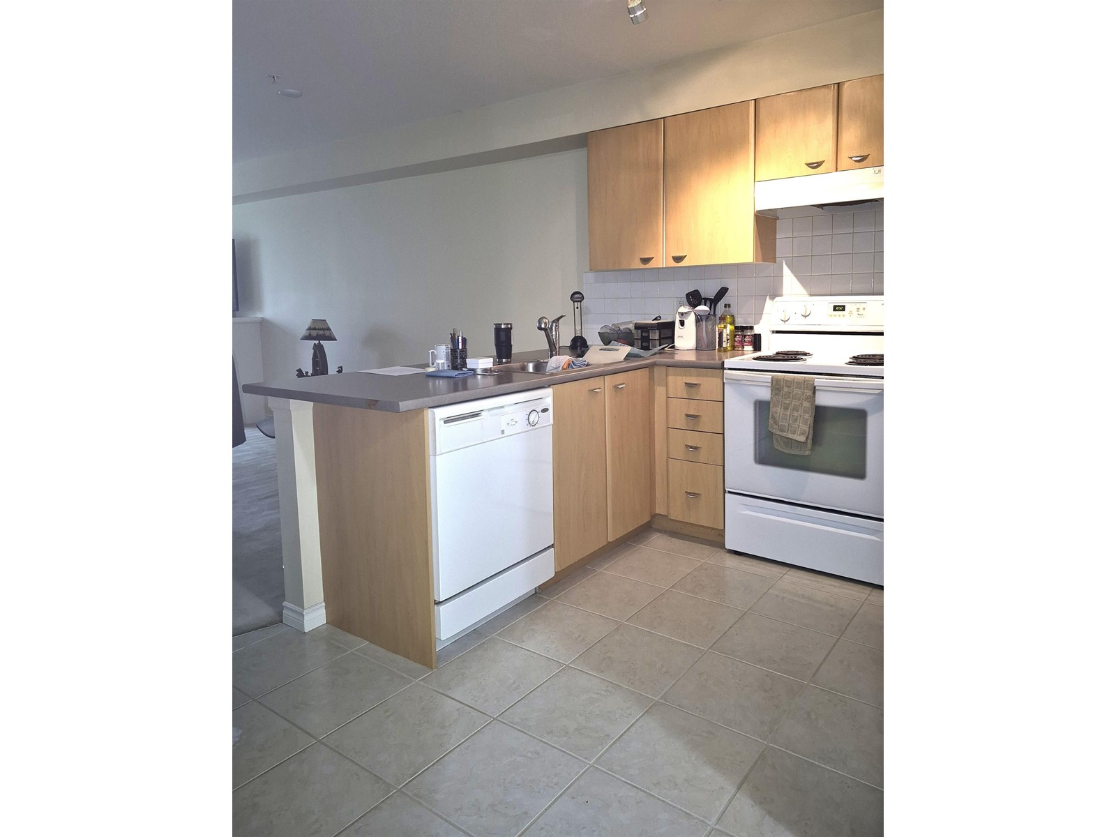 209 14877 100 Avenue, Surrey, British Columbia  V3R 3H1 - Photo 8 - R3004377