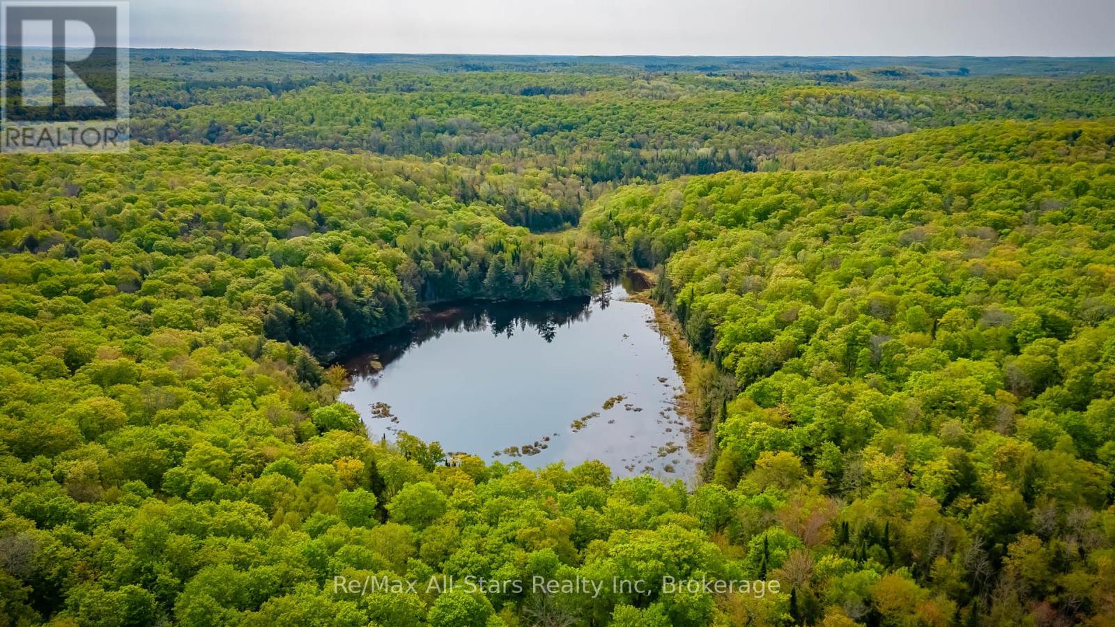 0 Angle Lake Road, Lake Of Bays, Ontario  P0A 1H0 - Photo 8 - X12176331