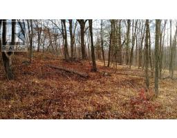 00 TRYON ROAD, Central Frontenac, Ontario