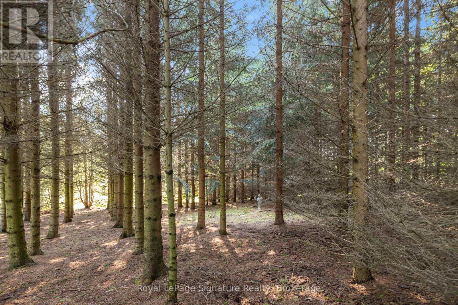 728414 21st Side Road, Blue Mountains, Ontario  N0H 1J0 - Photo 40 - X12207727