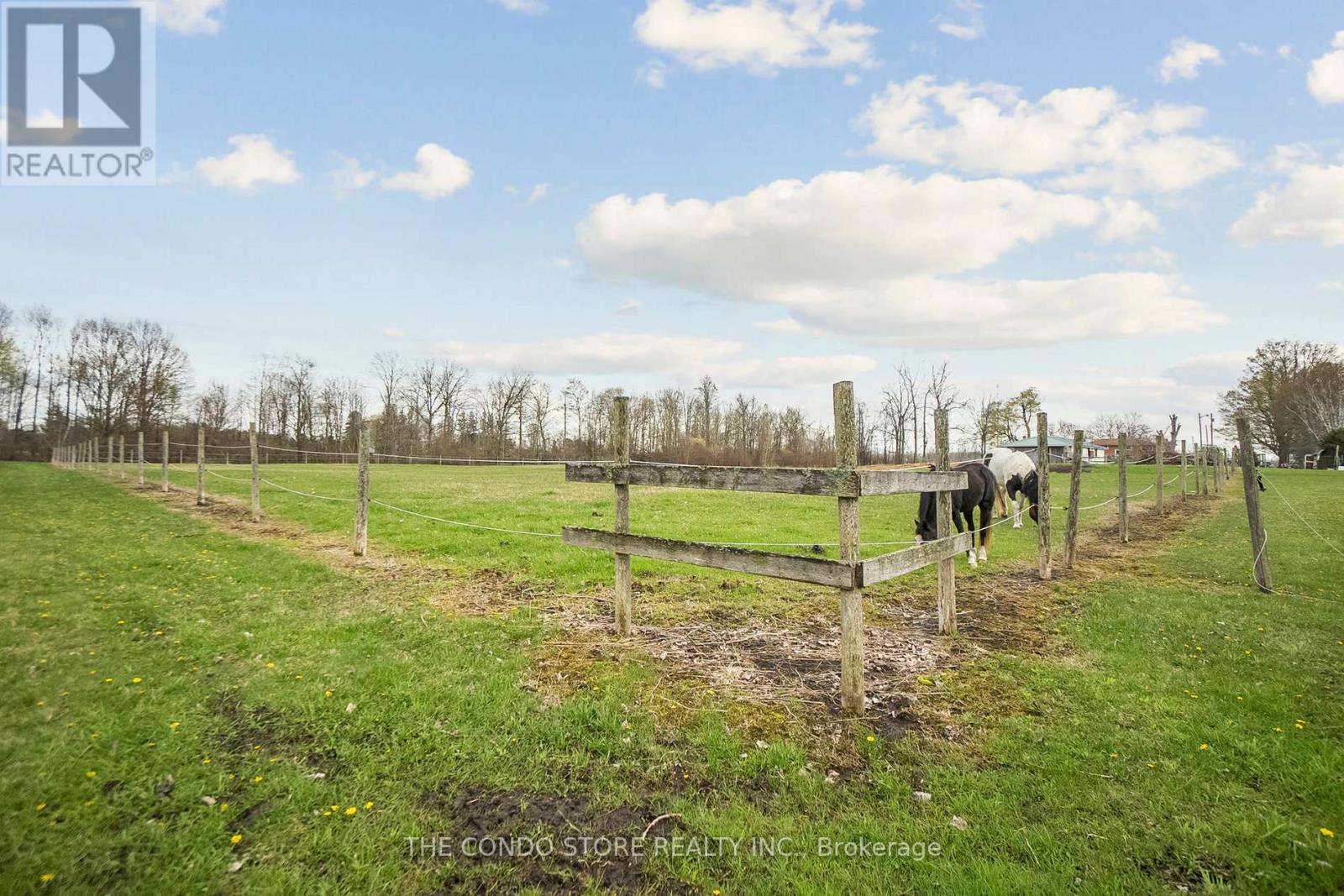 283 Inman Road, Haldimand, Ontario  N1A 2W5 - Photo 20 - X12132912