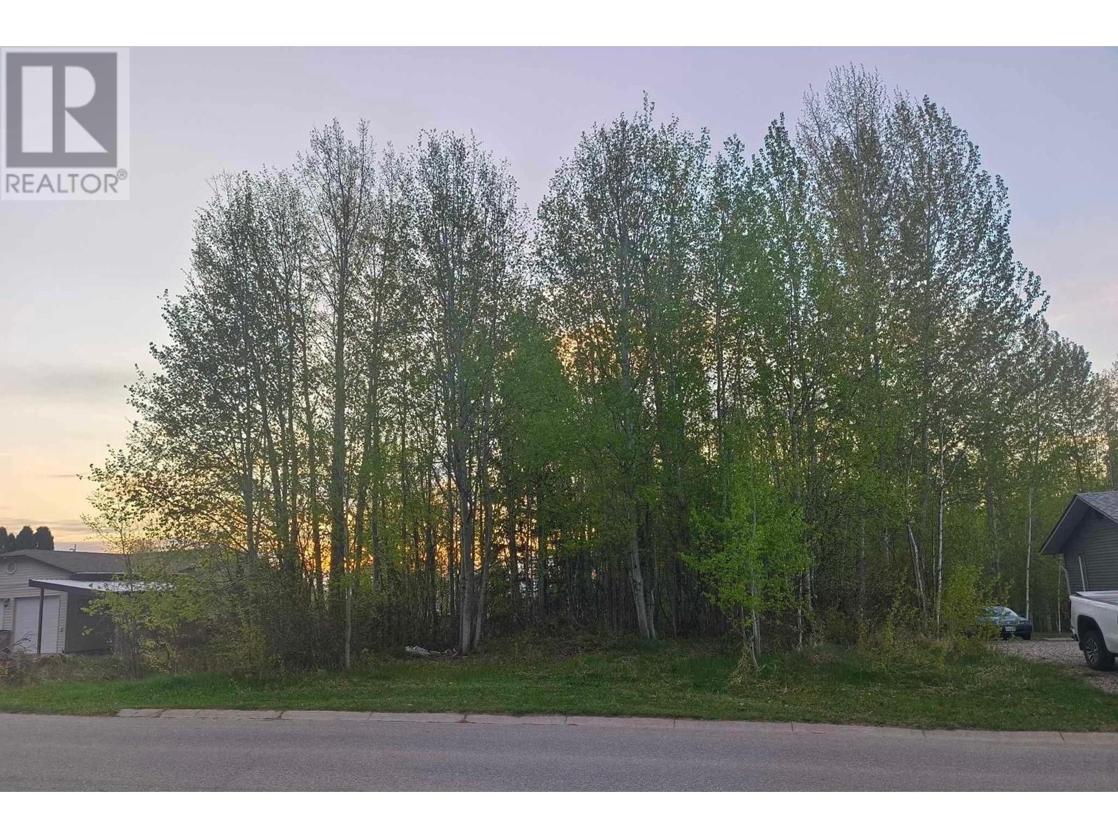 Lot 1 Dawson Street, Quesnel, British Columbia  V2J 5S9 - Photo 1 - R3013024