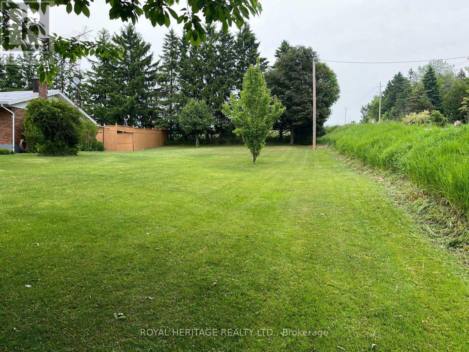 6019 Morton Road, Clarington, Ontario  L0A 1E0 - Photo 3 - E12207377