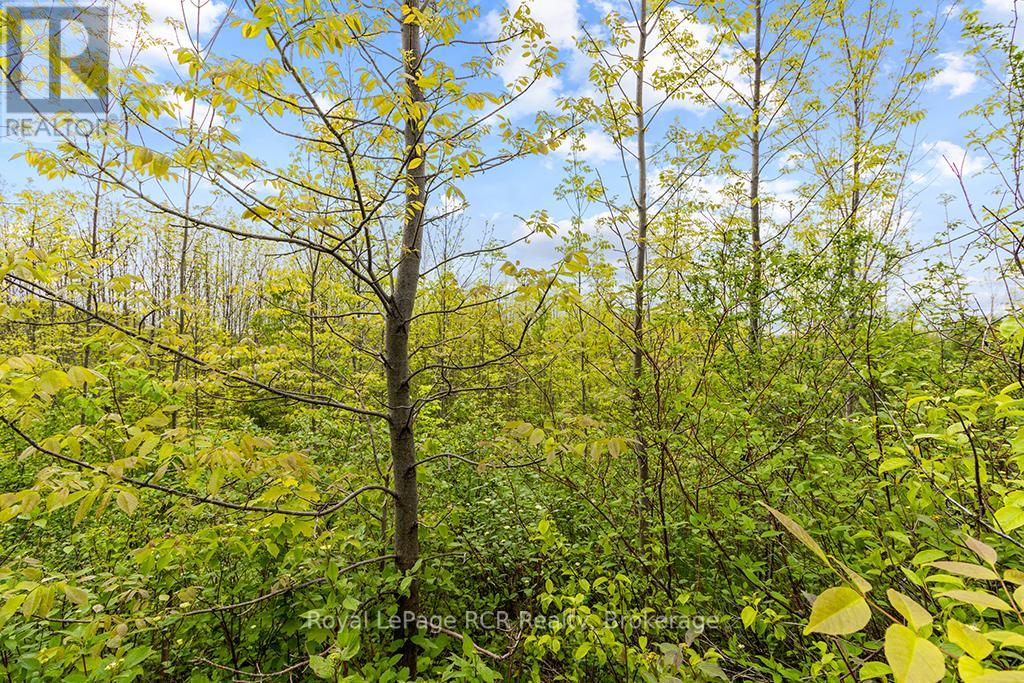 N/a Conc 11, Meaford, Ontario  N4L 0A2 - Photo 31 - S12207887