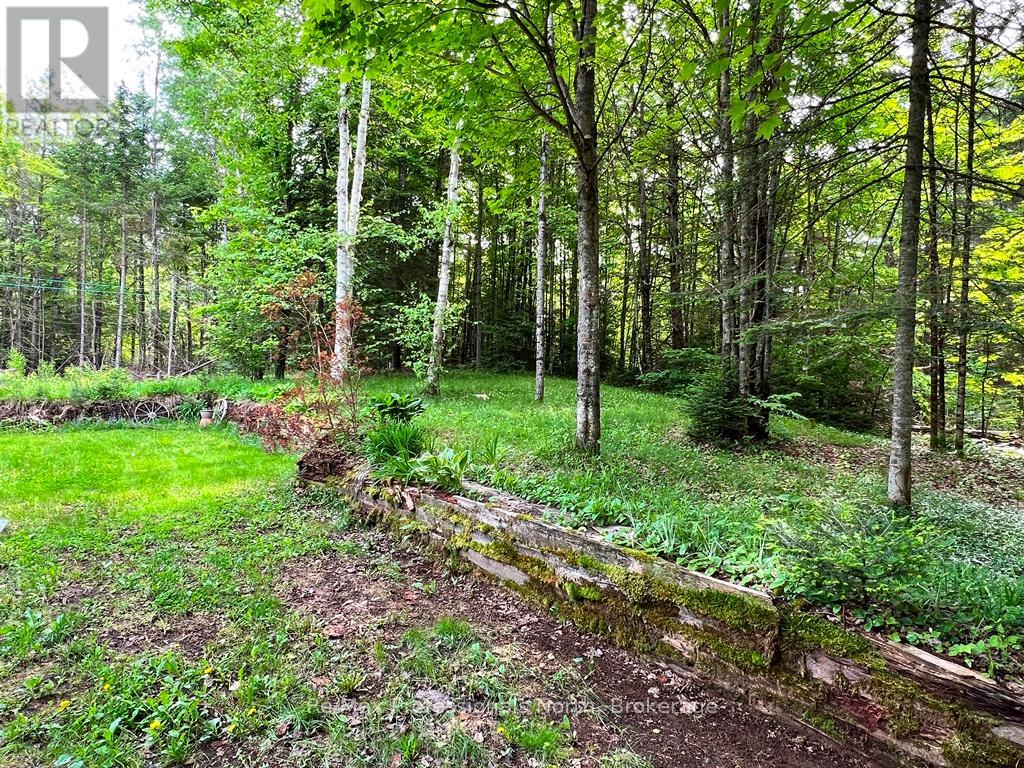 1065 Cockle Creek Estates Road, Highlands East, Ontario  K0L 3C0 - Photo 15 - X12207875