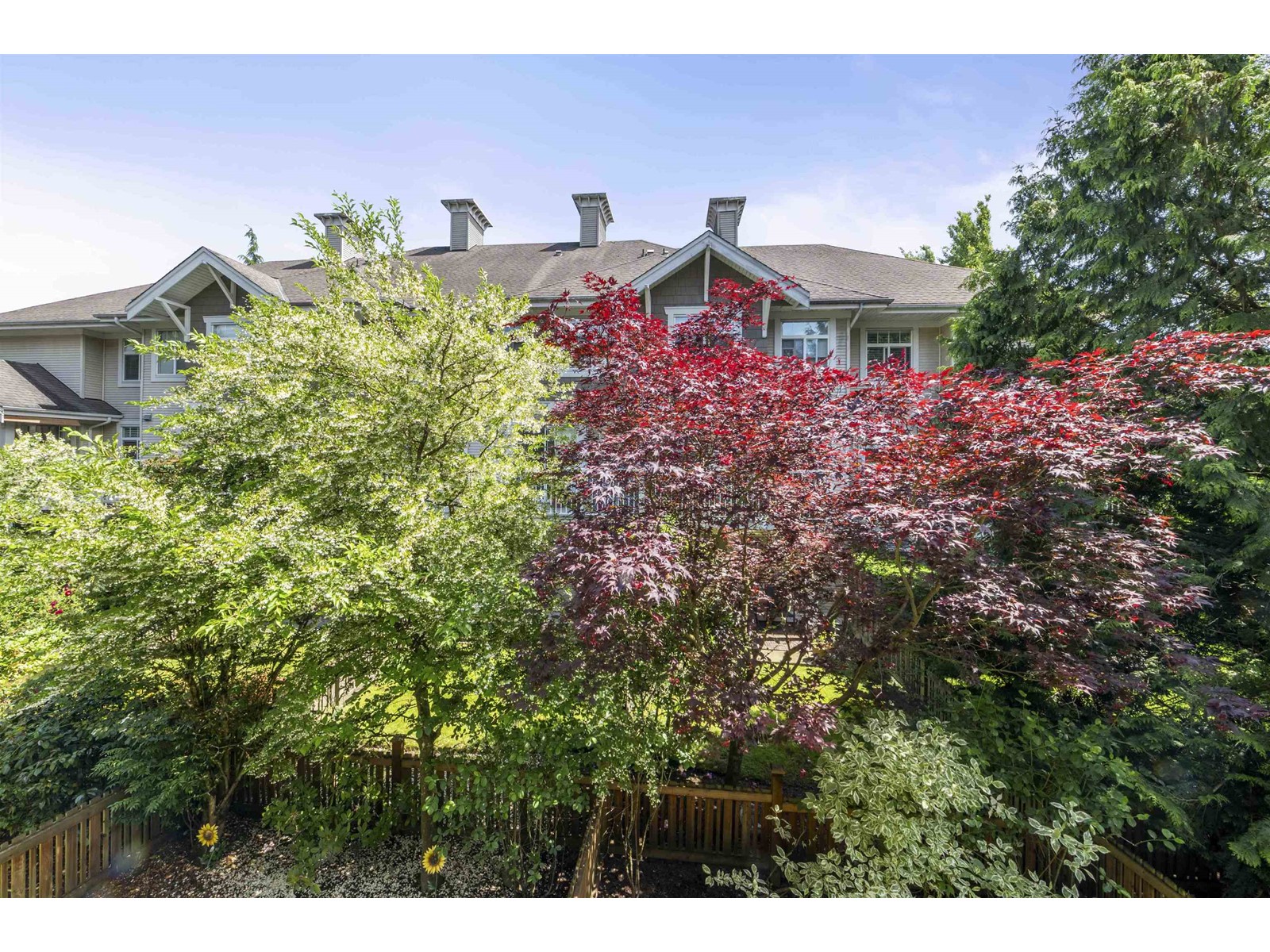 78 20760 Duncan Way, Langley, British Columbia  V3A 9J6 - Photo 25 - R3012890