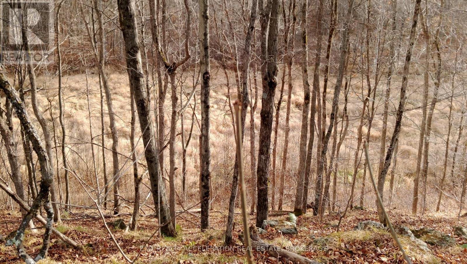 0 Tryon Road, Frontenac (Frontenac Centre), Ontario  K0H 2P0 - Photo 3 - X12208032