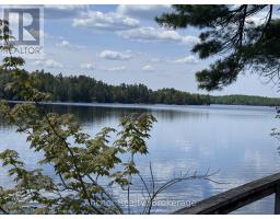 52935 BIG HAWK NORTH SHORE, algonquin highlands (stanhope), Ontario