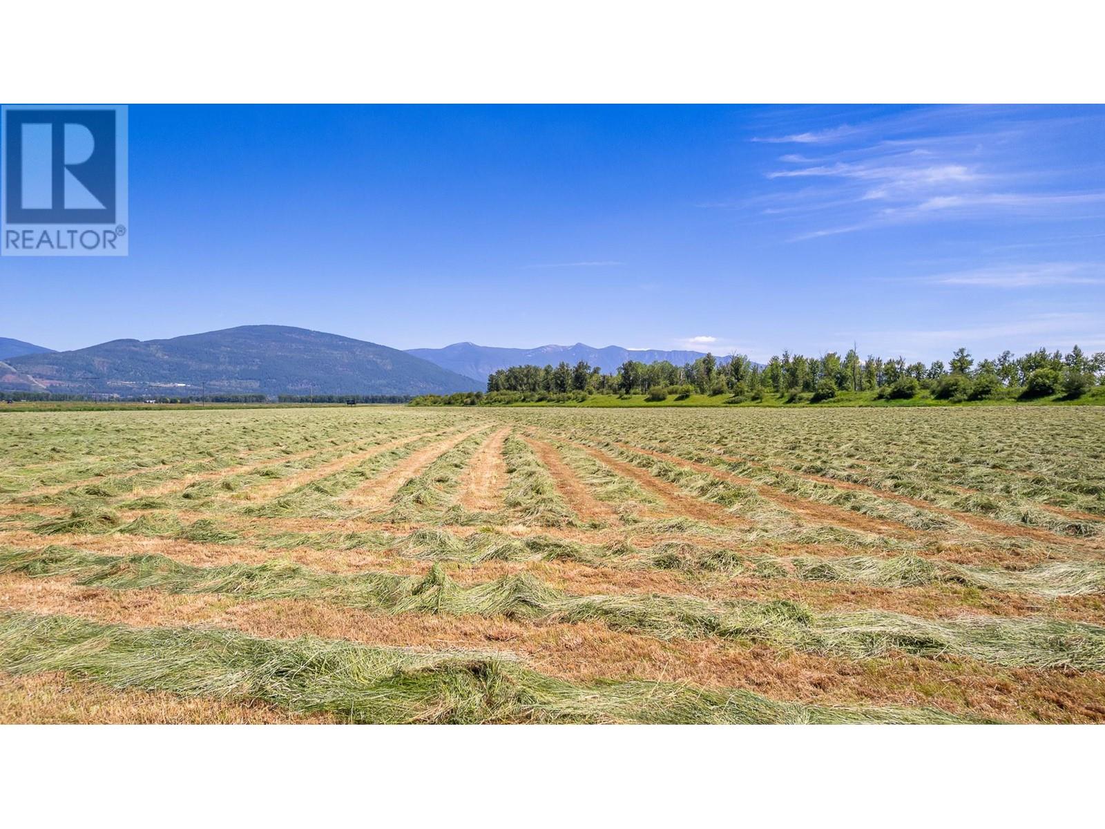 1680 Nicks Island  N Road, Creston, British Columbia  V0B 1G8 - Photo 40 - 10335280