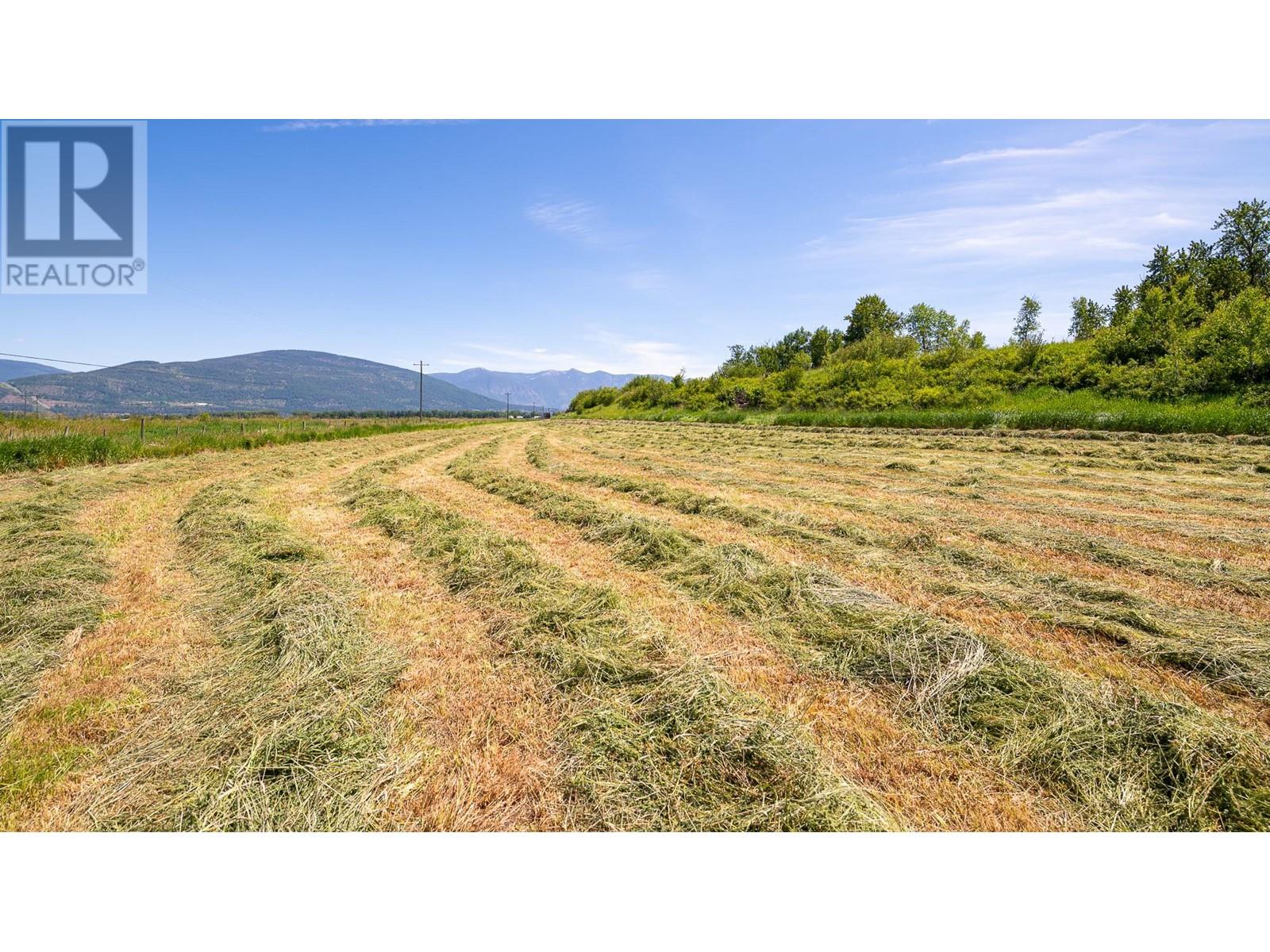 1680 Nicks Island  N Road, Creston, British Columbia  V0B 1G8 - Photo 33 - 10335280