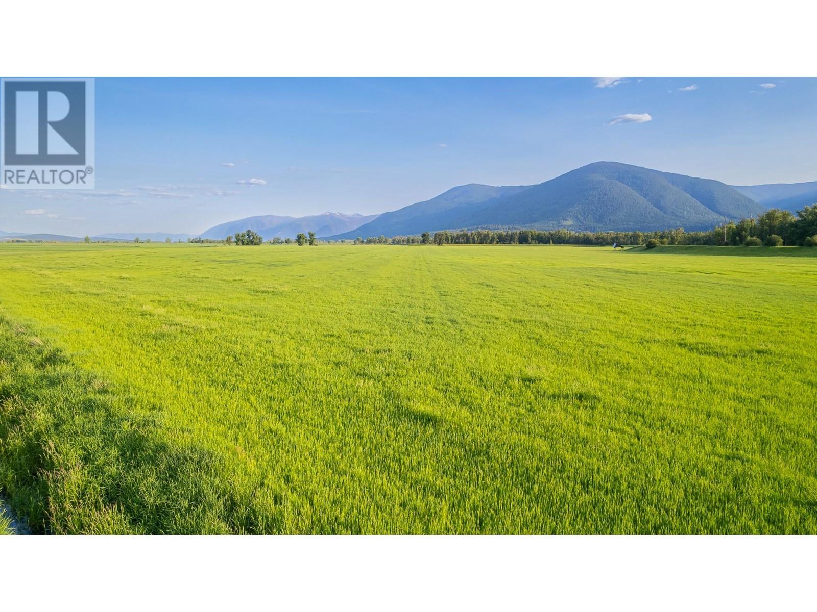 1680 Nicks Island  N Road, Creston, British Columbia  V0B 1G8 - Photo 11 - 10335280