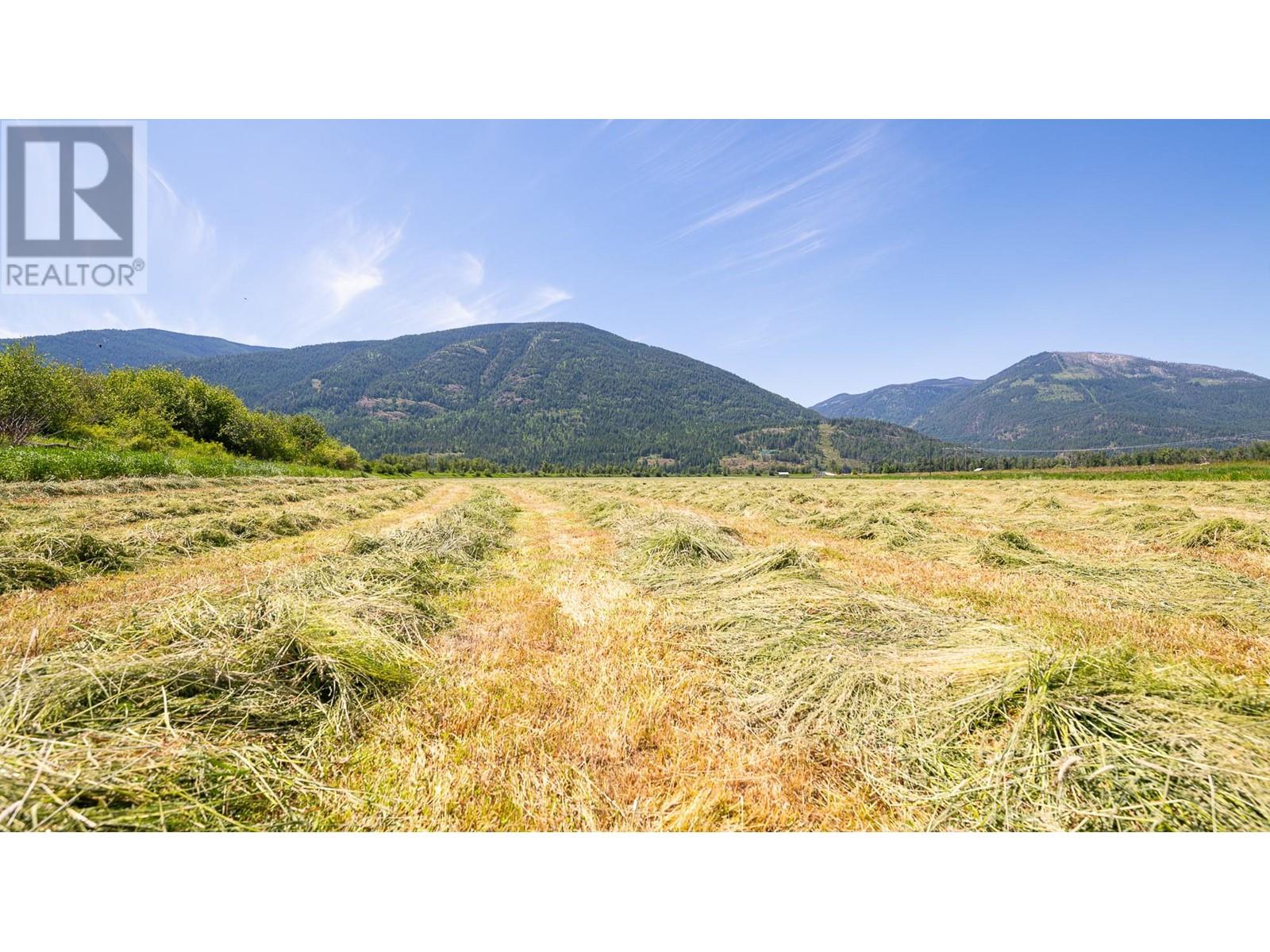 1680 Nicks Island  N Road, Creston, British Columbia  V0B 1G8 - Photo 32 - 10335280
