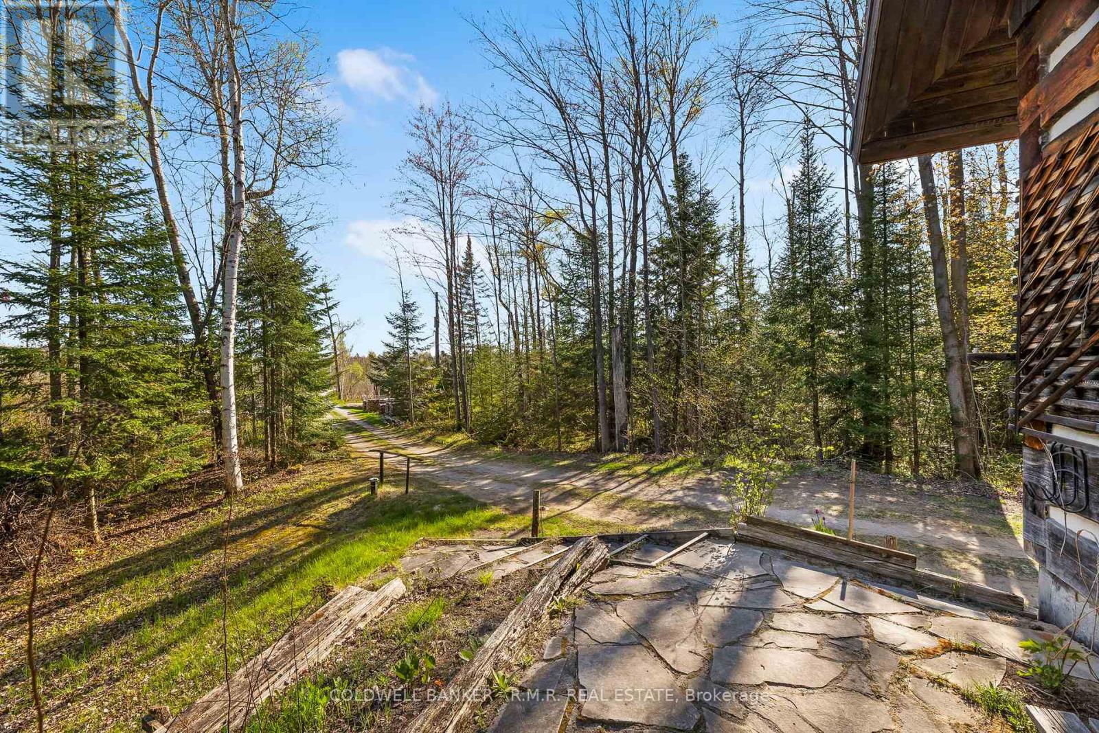 9136 Ravenshoe Road, Georgina, Ontario  L9P 1R2 - Photo 5 - N12147020