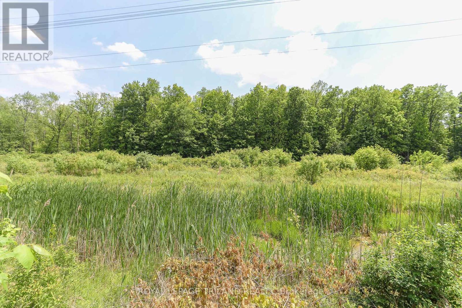 20 Linden Lane, St. Thomas, Ontario  N5P 4M4 - Photo 43 - X12208197