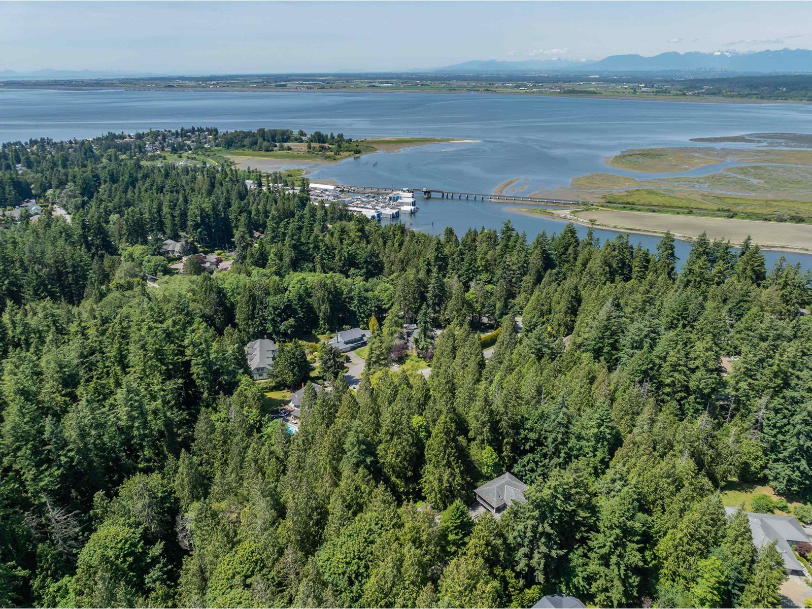 2842 130 Street, Surrey, British Columbia  V4P 1J7 - Photo 38 - R3012551