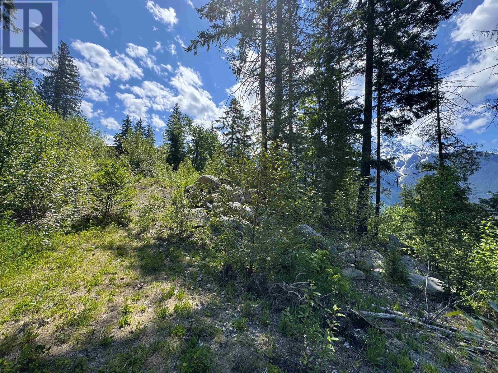 7505 Pebble Creek Drive, Pemberton, British Columbia  V0N 2L3 - Photo 10 - R3013226