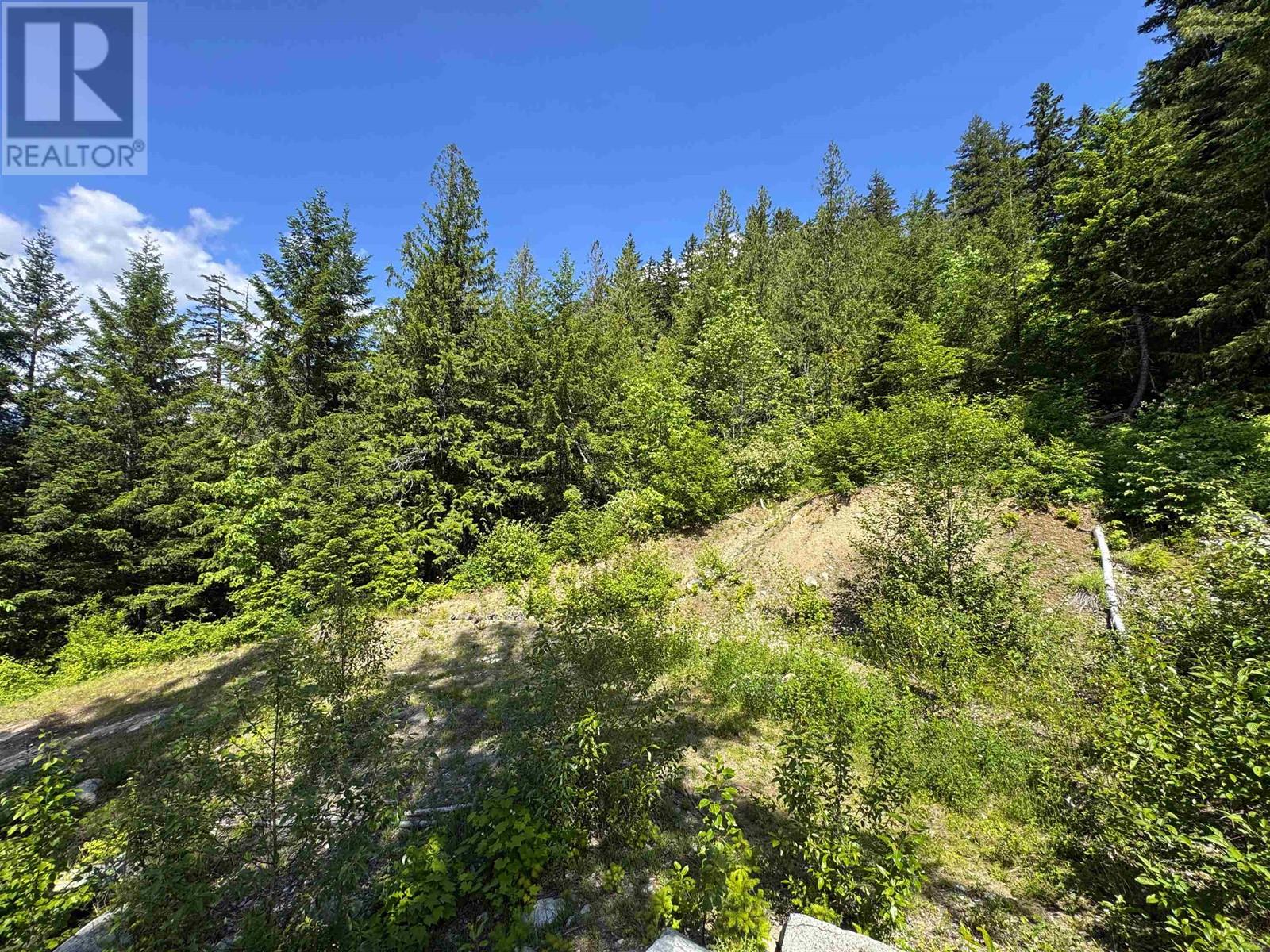 7505 Pebble Creek Drive, Pemberton, British Columbia  V0N 2L3 - Photo 11 - R3013226