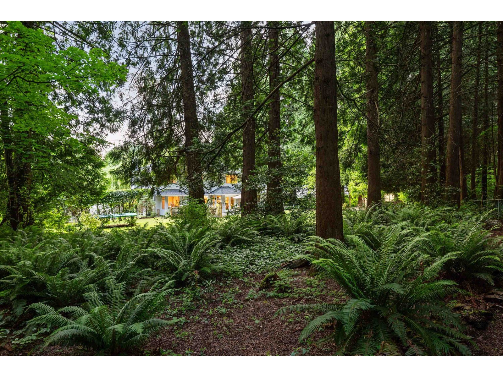 2842 130 Street, Surrey, British Columbia  V4P 1J7 - Photo 33 - R3012551
