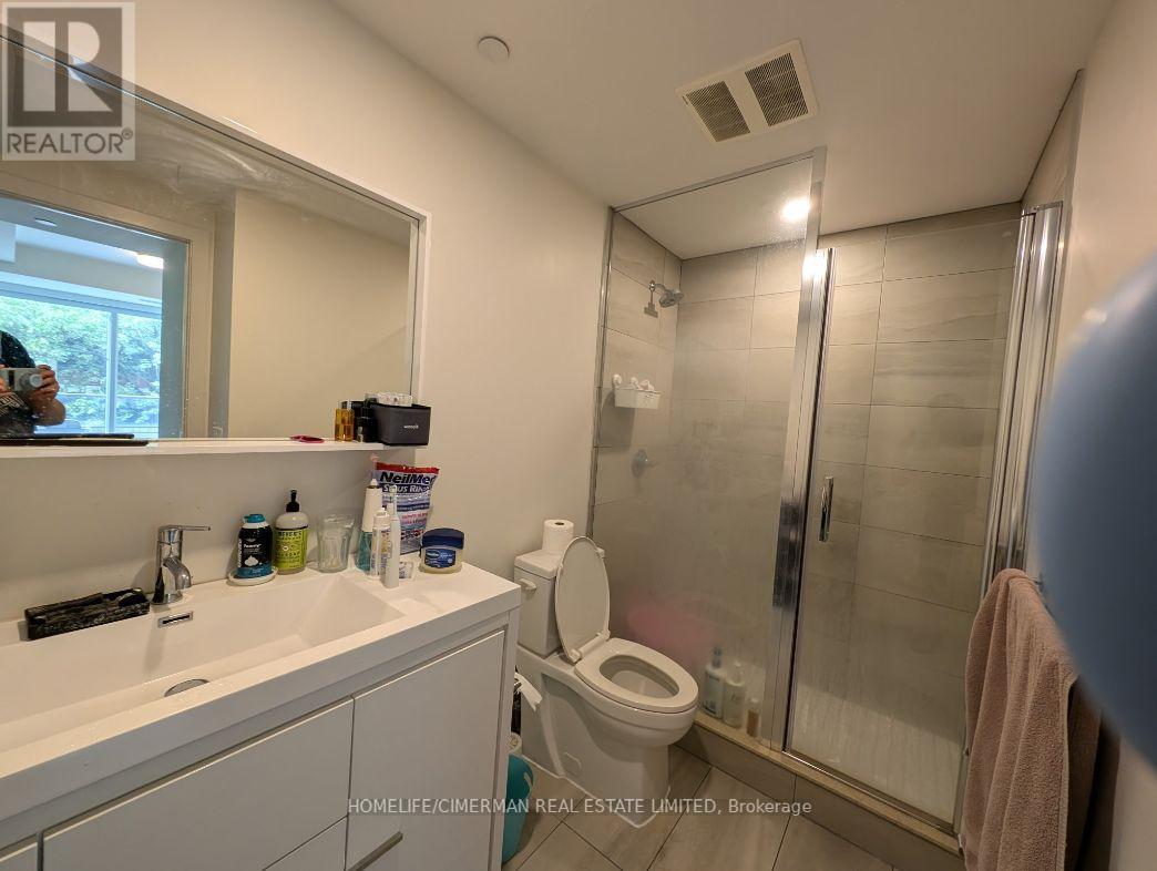 312 - 212 King William Street, Hamilton, Ontario  L8R 3P2 - Photo 17 - X12208090