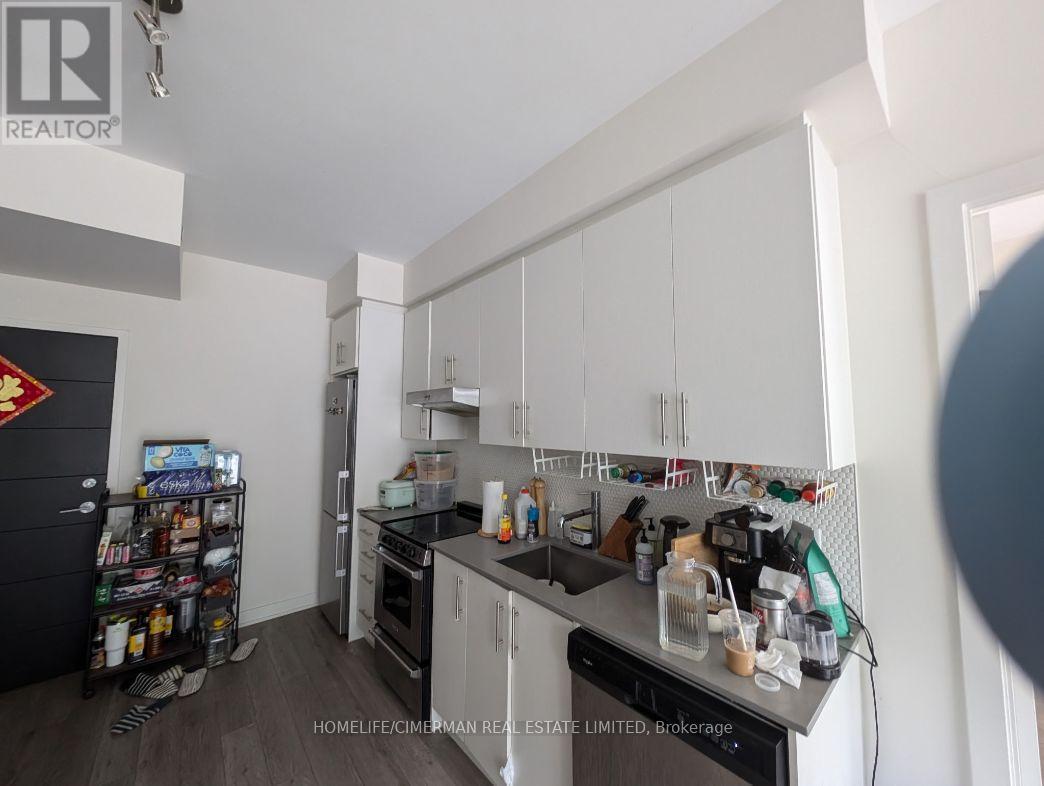 312 - 212 King William Street, Hamilton, Ontario  L8R 3P2 - Photo 4 - X12208090