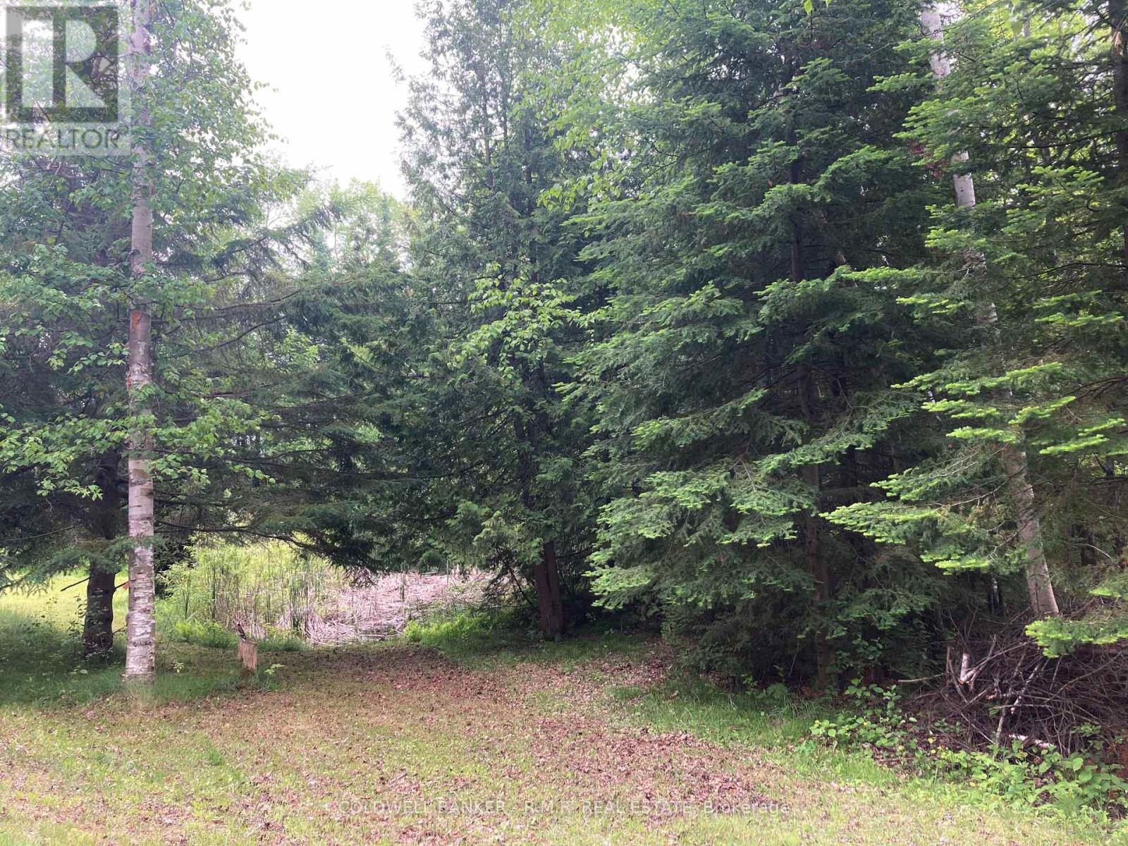 9136 Ravenshoe Road, Georgina, Ontario  L9P 1R2 - Photo 50 - N12147020