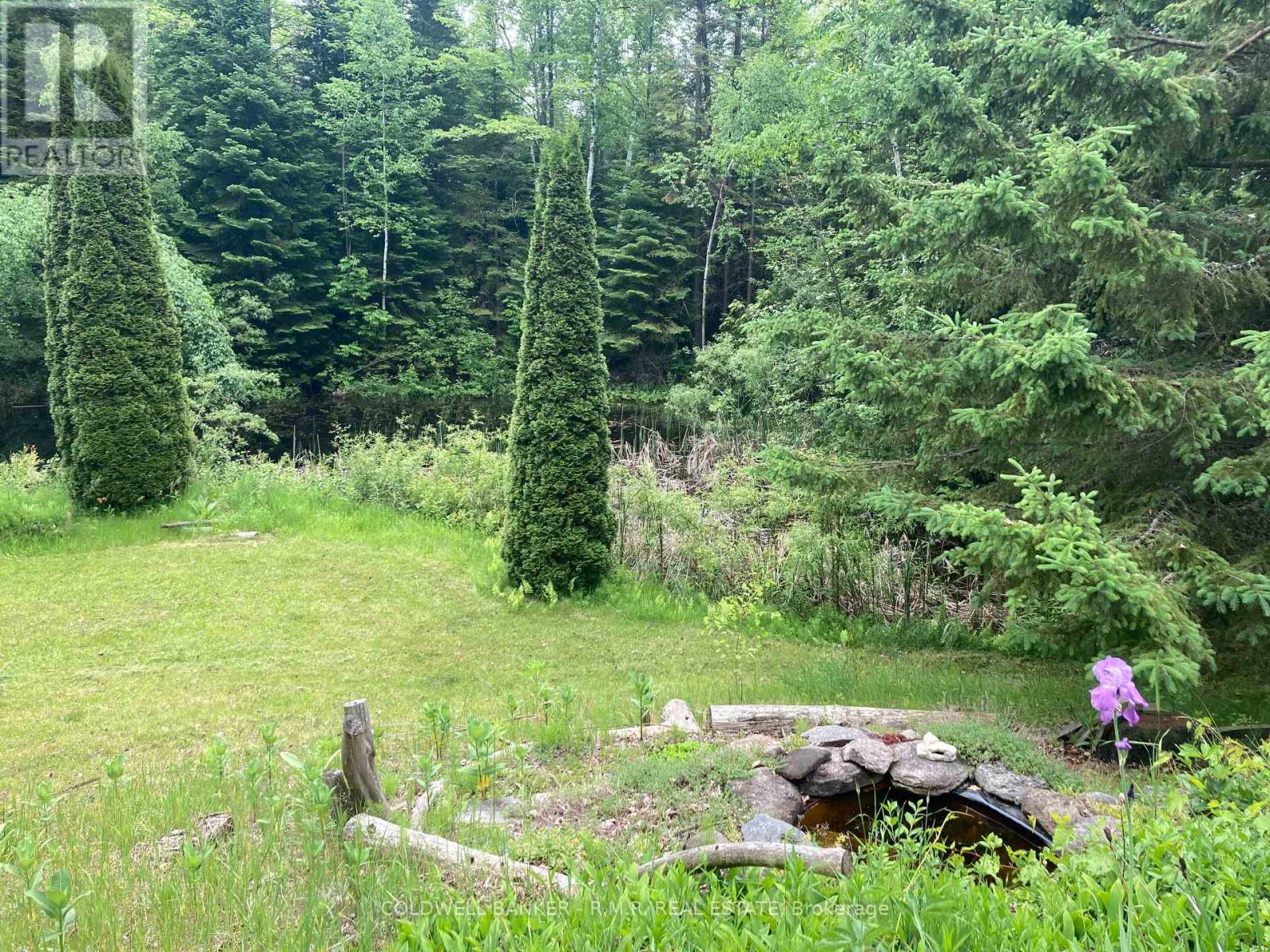 9136 Ravenshoe Road, Georgina, Ontario  L9P 1R2 - Photo 47 - N12147020